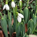 Geraeumige 2-z Im Gruenen, Garten, Terrasse, Ruhig, Natur, Phantastischer Blick! דירה מרבורג