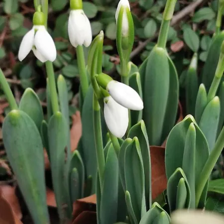 Geraeumige 2-z Im Gruenen, Garten, Terrasse, Ruhig, Natur, Phantastischer Blick! Apartment Marburg