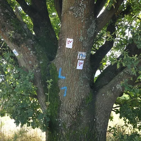 Geraeumige 2-z Im Gruenen, Garten, Terrasse, Ruhig, Natur, Phantastischer Blick!
