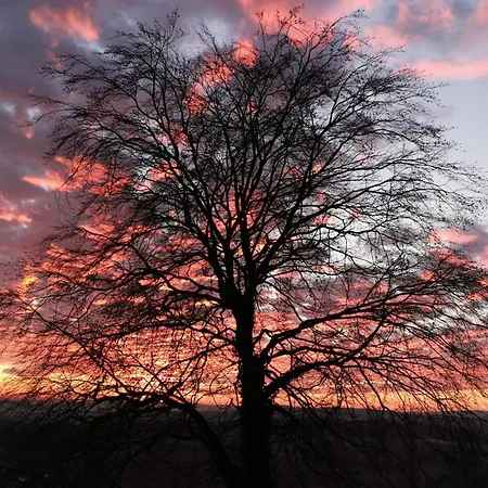 Geraeumige 2-z Im Gruenen, Garten, Terrasse, Ruhig, Natur, Phantastischer Blick! Marburg