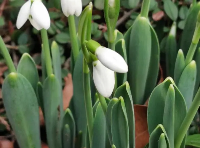 Geraeumige 2-z Im Gruenen, Garten, Terrasse, Ruhig, Natur, Phantastischer Blick! Apartamento Marburg
