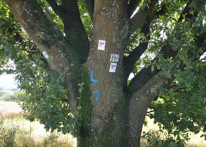 Geraeumige 2-z Im Gruenen, Garten, Terrasse, Ruhig, Natur, Phantastischer Blick!
