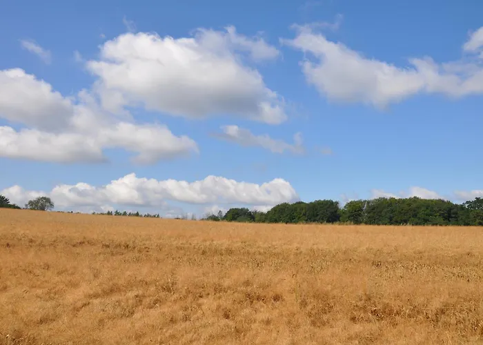 Geraeumige 2-z Im Gruenen, Garten, Terrasse, Ruhig, Natur, Phantastischer Blick! Marburg