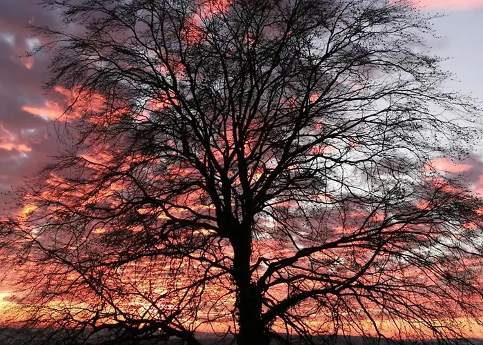 Geraeumige 2-z Im Gruenen, Garten, Terrasse, Ruhig, Natur, Phantastischer Blick! Marburg